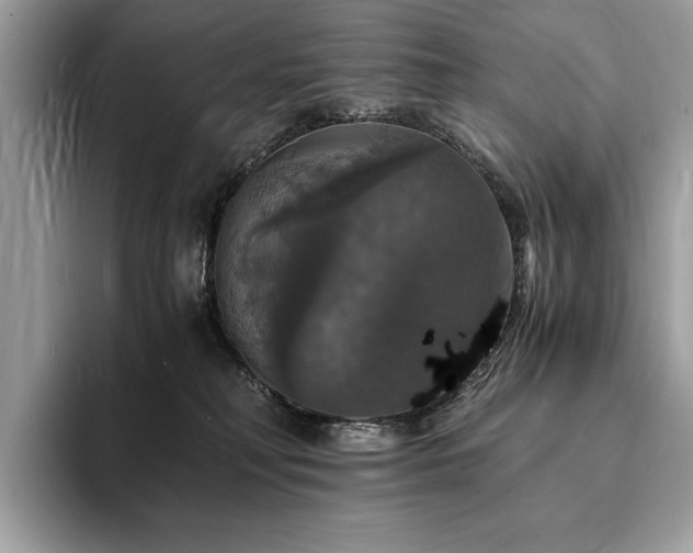 X0000094060230200710191107