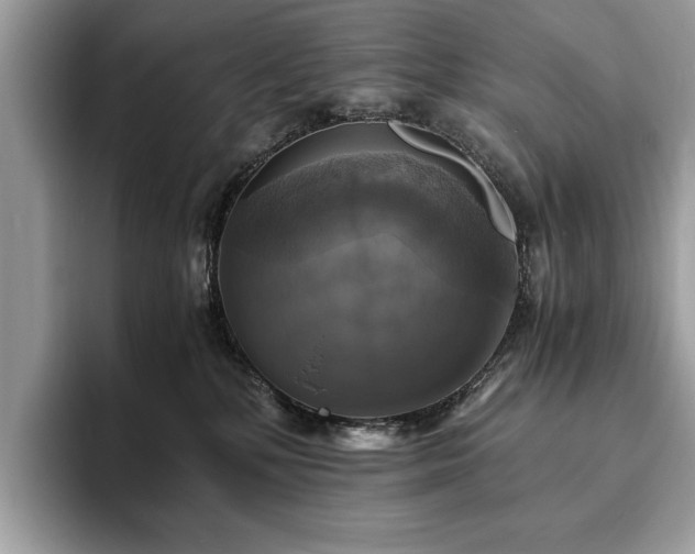 X0000094060232200710191107