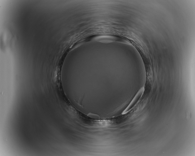 X0000094060233200710191107