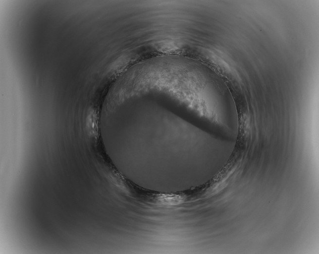 X0000094060234200710191107