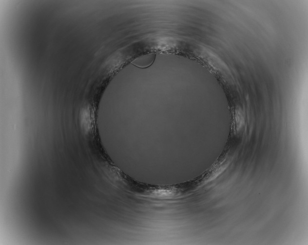 X0000094060236200710191107