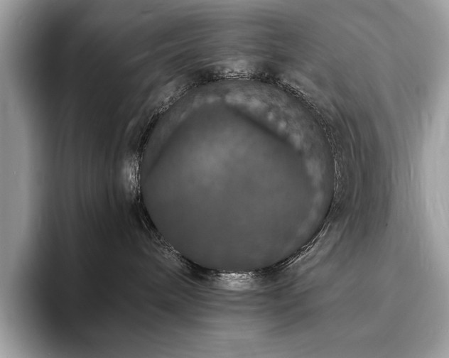 X0000094060240200710191107