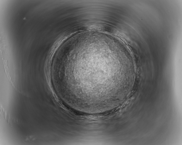 X0000094060241200710191106