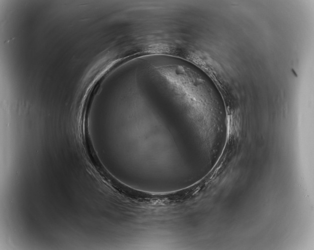 X0000094060243200710191106