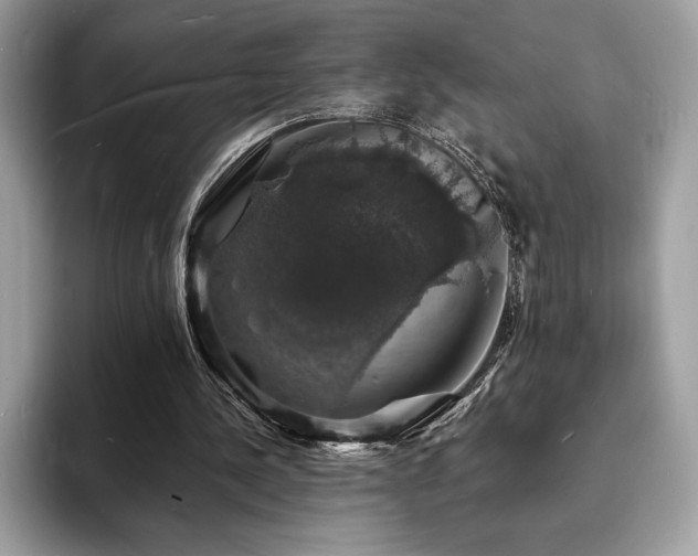 X0000094060244200710191106