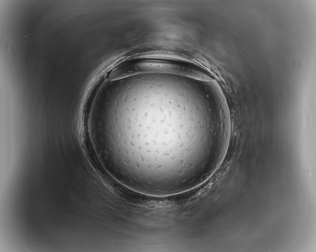 X0000094060245200710191106