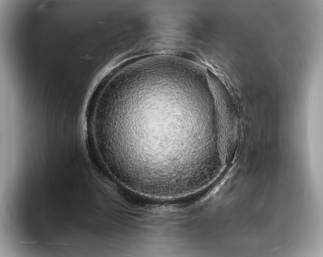 X0000094060246200710191106