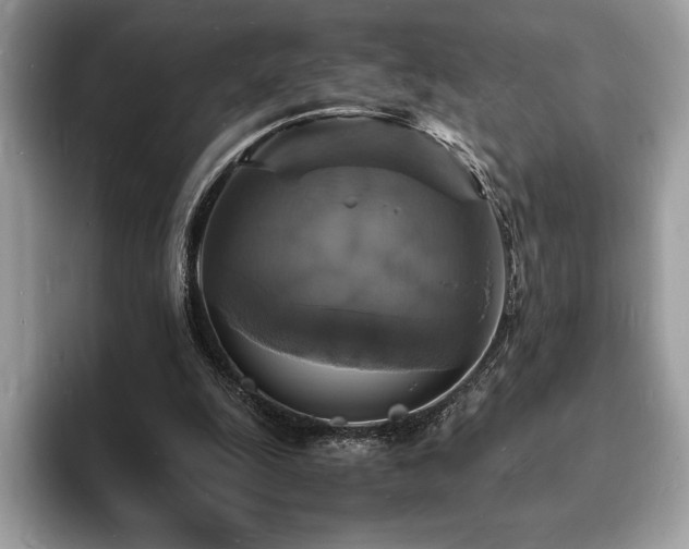 X0000094060247200710191106