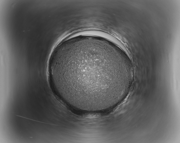 X0000094060248200710191106