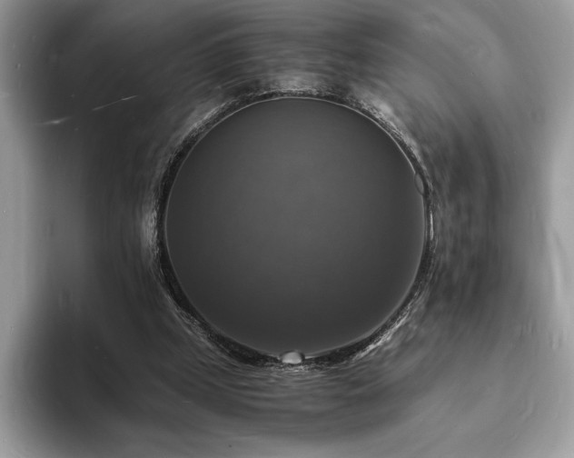 X0000094060249200710191106