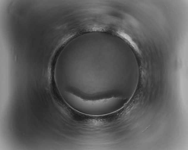 X0000094060250200710191106