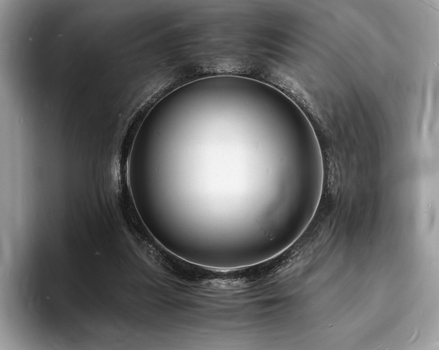 X0000094060251200710191106