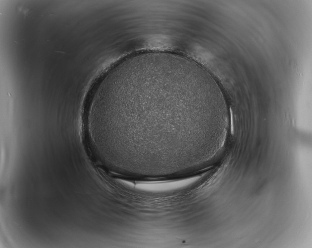 X0000094060252200710191106
