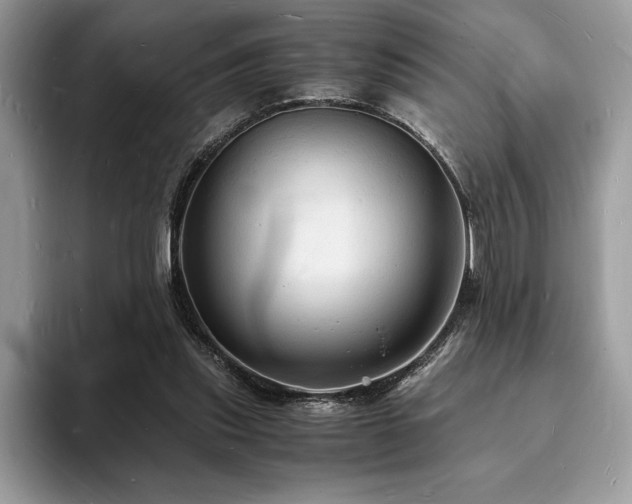 X0000094060253200710191106