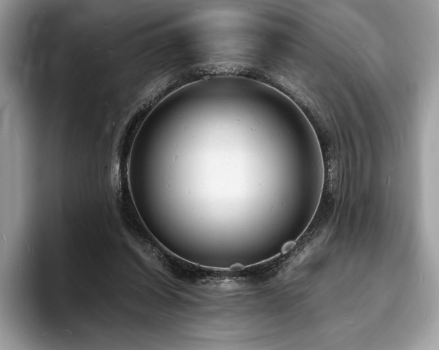 X0000094060254200710191106