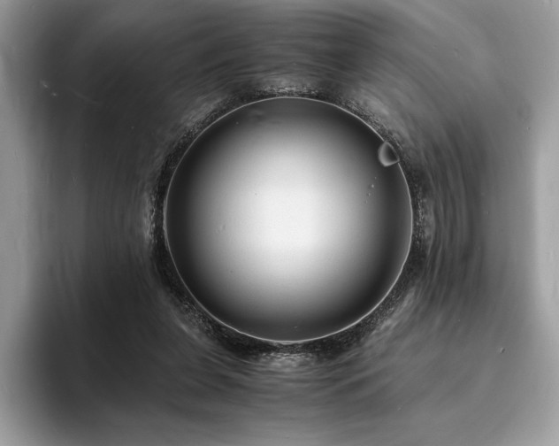 X0000094060255200710191106