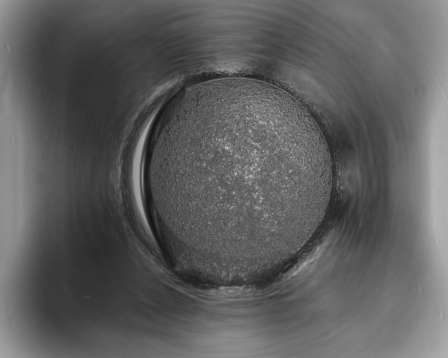 X0000094060256200710191106
