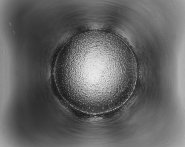X0000094060257200710191106