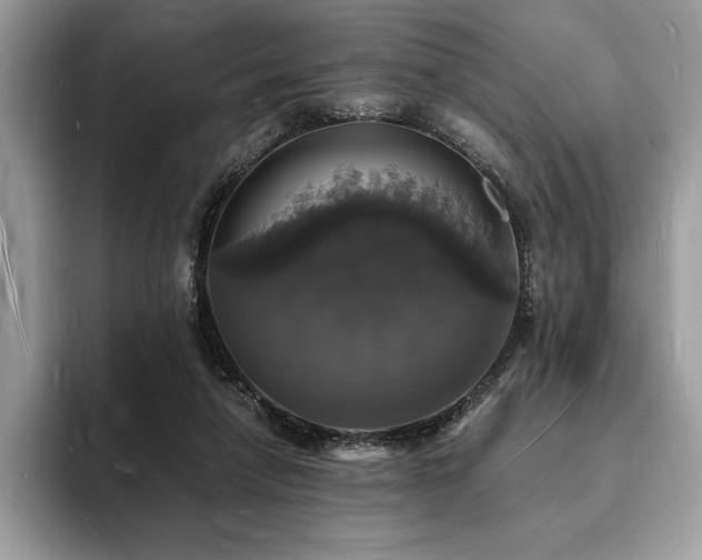 X0000094060258200710191106
