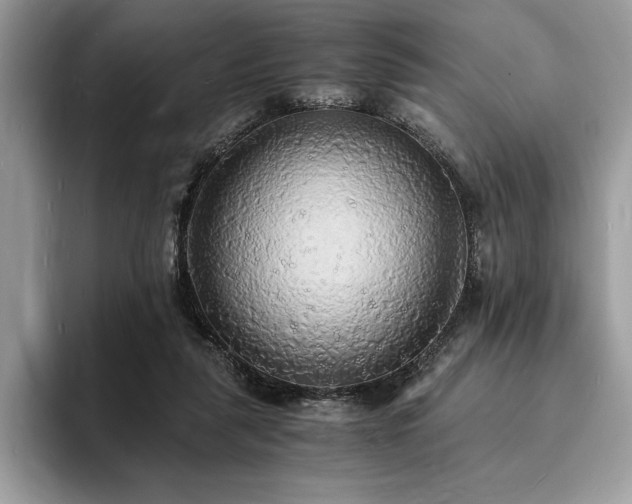 X0000094060259200710191106