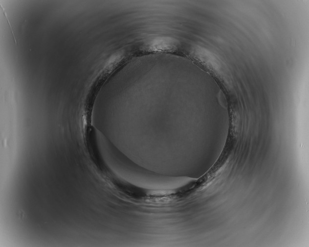 X0000094060260200710191106