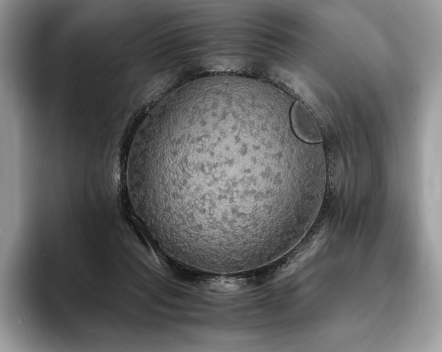 X0000094060261200710191106
