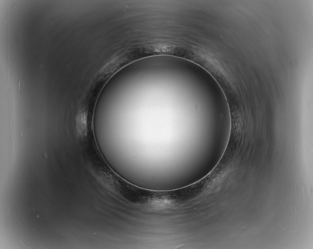X0000094060262200710191106