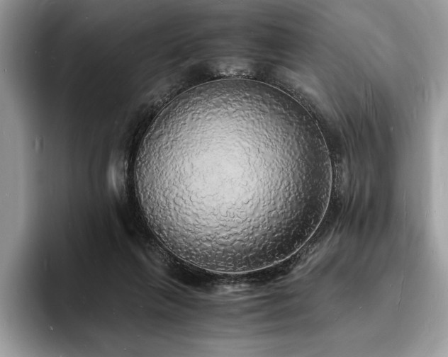 X0000094060263200710191106