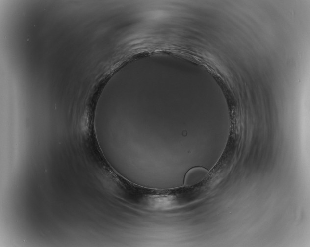 X0000094060266200710191107