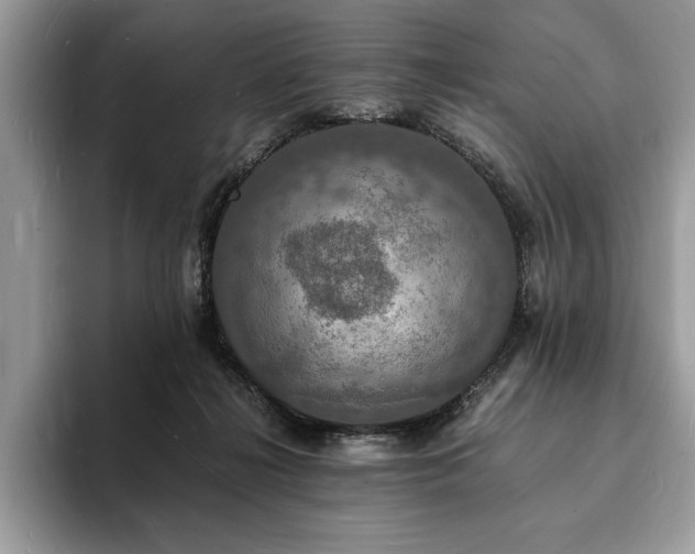 X0000094060268200710191107