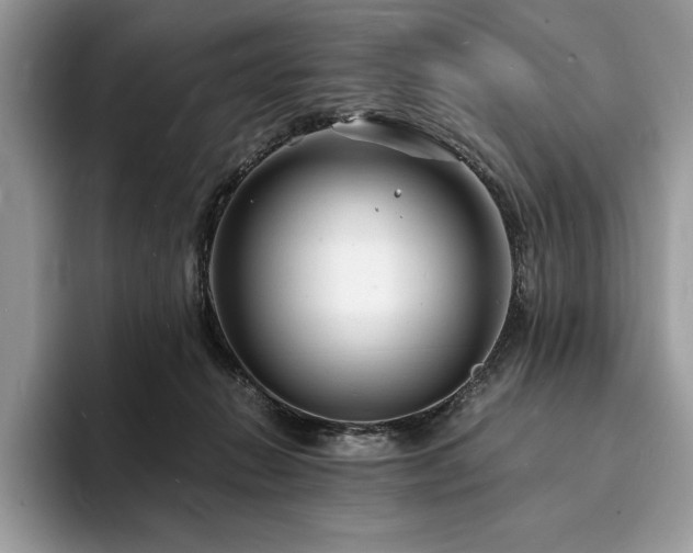 X0000094060270200710191107