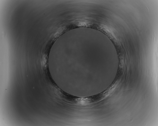 X0000094060273200710191107