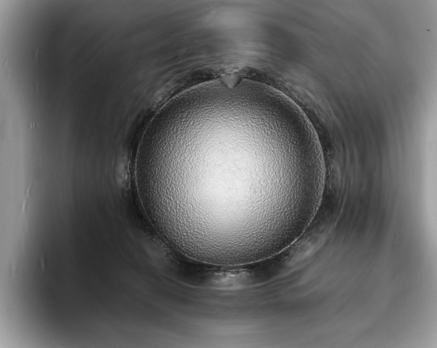 X0000094060274200710191107