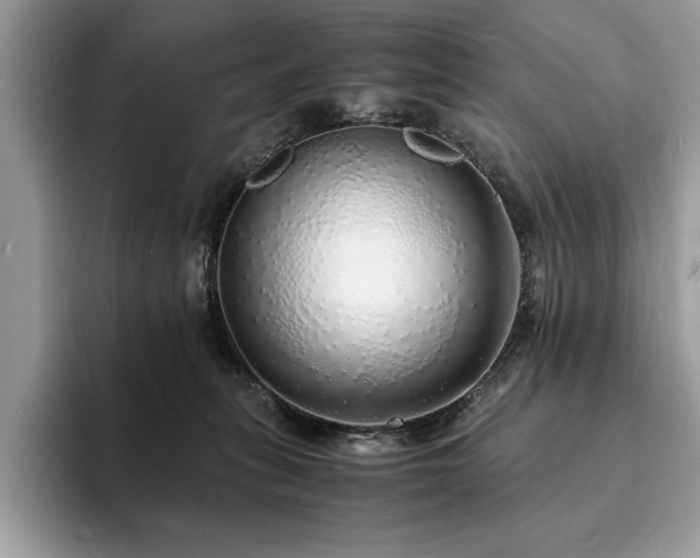 X0000094060275200710191107