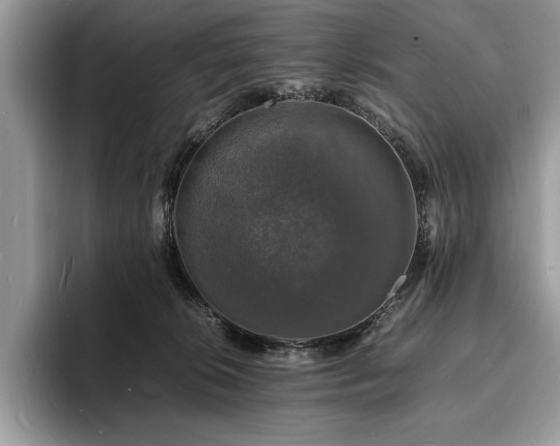 X0000094060276200710191107