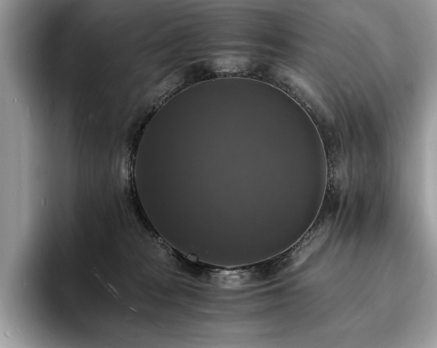 X0000094060277200710191107