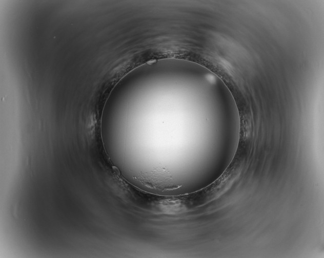 X0000094060279200710191107