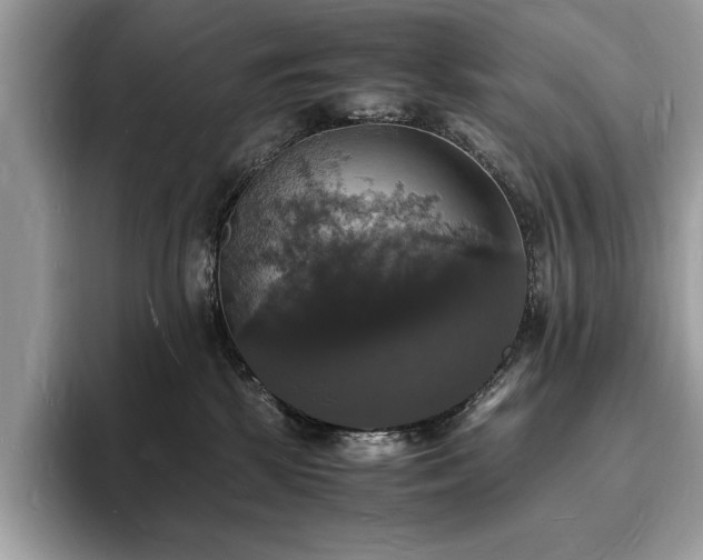 X0000094060281200710191107