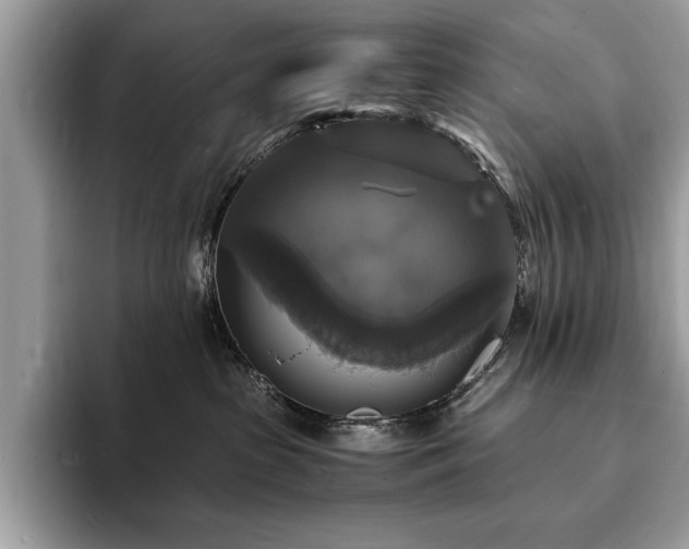 X0000094060285200710191107