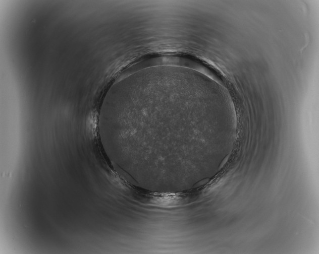 X0000094060288200710191107