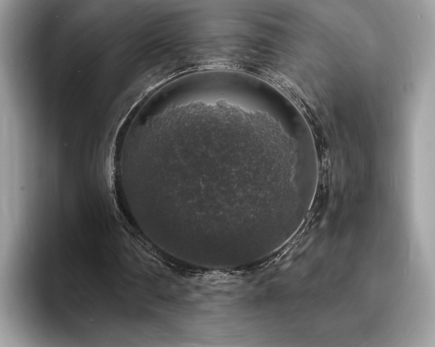 X0000094060290200710191106