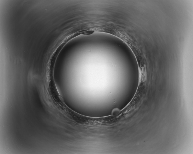 X0000094060291200710191106