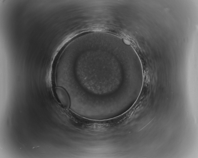 X0000094060292200710191106