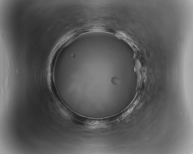 X0000094060293200710191106