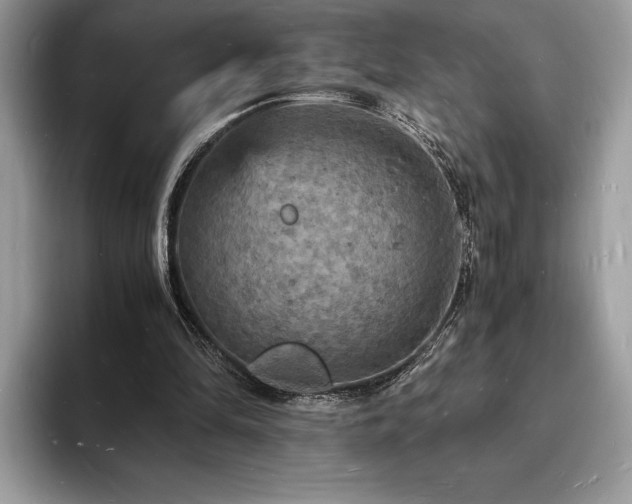 X0000094060294200710191106