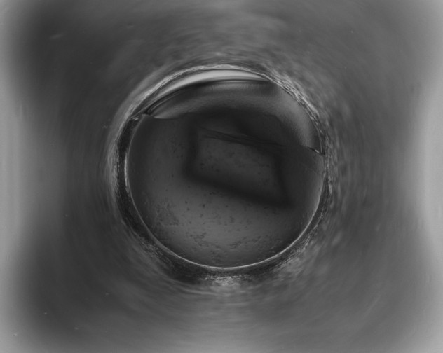 X0000094060295200710191106