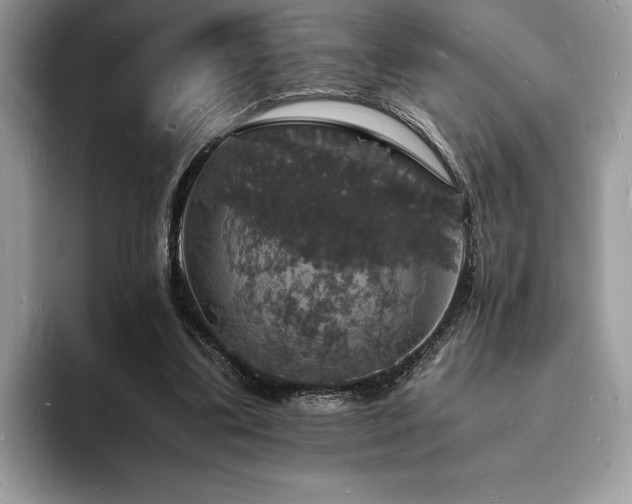 X0000094060299200710191106