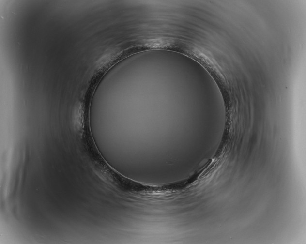 X0000094060303200710191106