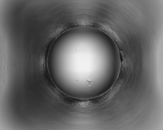 X0000094060306200710191106