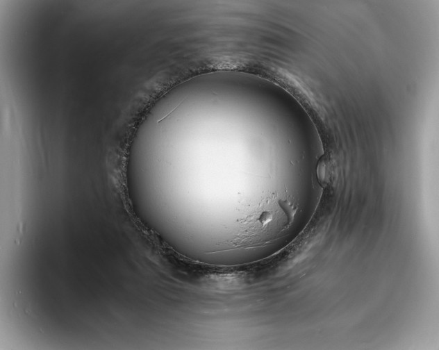 X0000094060307200710191106